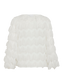 pack_shot-back